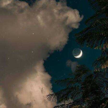 آهنگ شو عشقه امشو هایدنه پلی کو علی زارعی