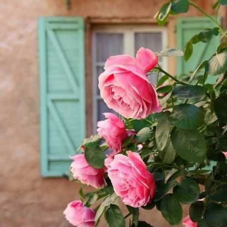آهنگ تا پاشم از خواب سر ظهره صائب صادقی