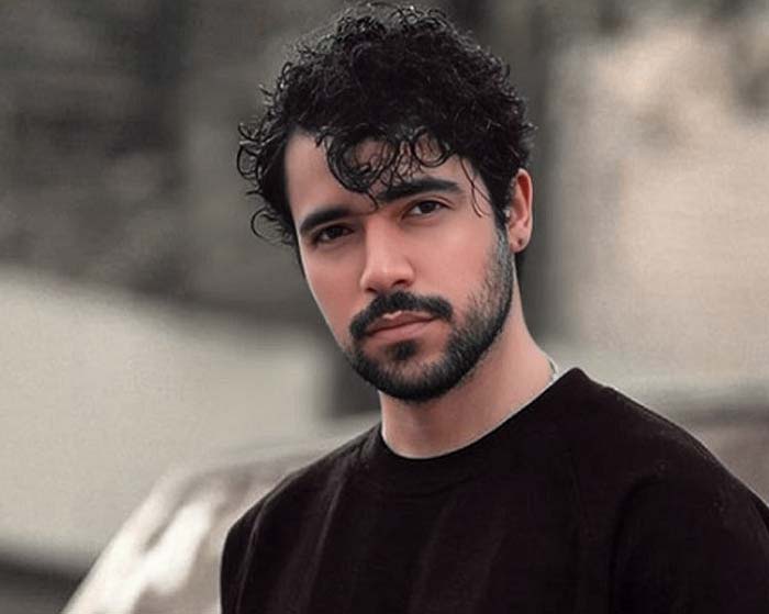 آهنگ دلم برات تنگ میشه شروین حاجی پور آهنگ دلم برات تنگ میشه شروین حاجی پور
