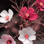 آهنگ میون جمع باشم تو نباشی رضا سهی