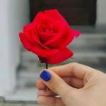 آهنگ تو که در تاریکی ام دریای نوری با صدای بچه
