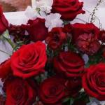 آهنگ Gönlümün Efendisi ابرو گوندش و اصاله