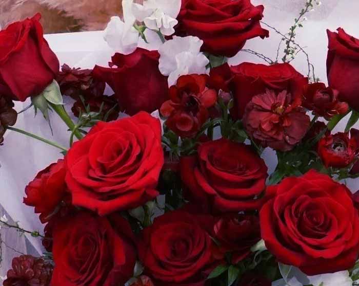 آهنگ Gönlümün Efendisi ابرو گوندش و اصاله آهنگ Gönlümün Efendisi ابرو گوندش و اصاله
