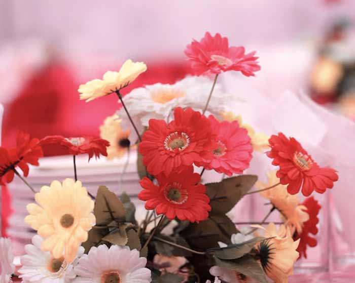 آهنگ گل منه ادیم ادیم آهنگ گل منه ادیم ادیم