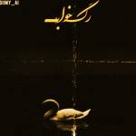 ریمیکس وحید موسوی و عرفان طهماسبی و رضا پیشرو و علی سورنا و محسن یگانه رگ خواب
