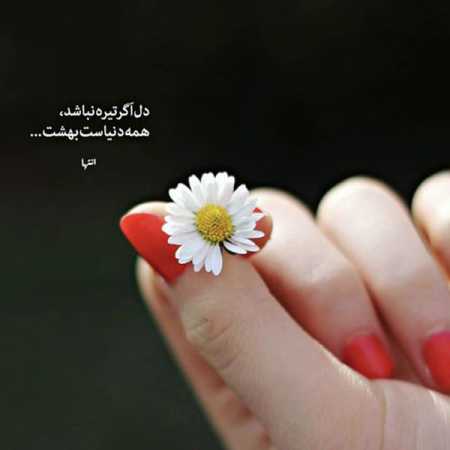 آهنگ ما شرقی شادیم فقط اگه بزارن اهل رقصیدنیم اگه مامور نیارن