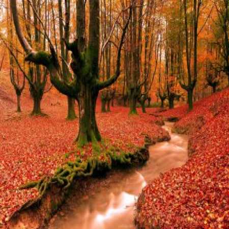 آهنگ آﻣﺪه ام ﺗﻮ ﺑﻪ داد دﻟﻢ ﺑﺮﺳﻰ ﺗﻮ ﺳﻜﻮت ﻣﺮا ﺑﺸﻨﻮ ﻛﻪ ﺻﺪای ﻏﻤﻢ ﻧﺮﺳﺪ ﺑﻪ ﻛﺴﻰ