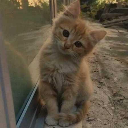 آهنگ الکل اینجا ممنوعه و انرژی از من بوده آهنگ الکل اینجا ممنوعه و انرژی از من بوده