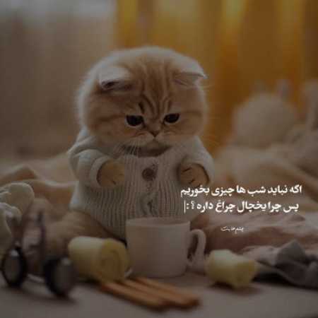 آهنگ ﺑﺮﻧﺎﻣﻤﻮن اﻣﺸﺐ ﻋﺸﻘﻮ ﺣﺎل ﺳﻔﺘﻪ