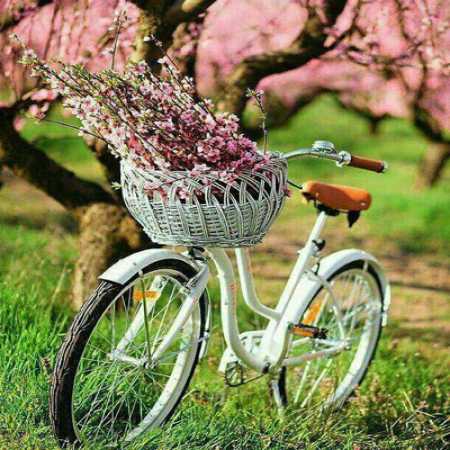 آهنگ ﺗـﻮ ﺑﻬﺎﻧﻪ ﻣﻦ ﻣﻮﻫﺎی ﺧﻴﺴﺖ رو ﺷﺎﻧﻪ ی ﻣﻦ
