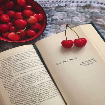 آهنگ خسته شدم از بس که با غریبه ها دیدمت