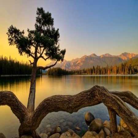 آهنگ ﻋﺎدت ﻛﺮده ﻗﻠﺒﻢ ﺑﻪ ﺑﻮدﻧﺖ واﻗﻌﺎ ﺗﻮرو از دﺳﺖ ﻧﻤﻴﺪﻣﺖ