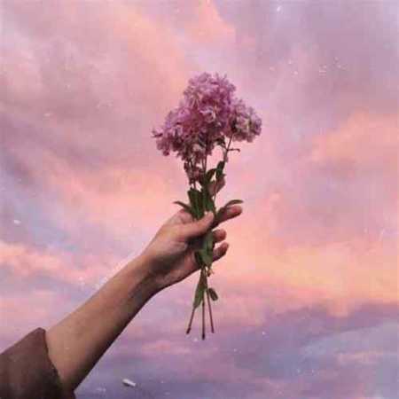 آهنگ این دل دیوونه کجاست چه ساکت و چه بی صداست