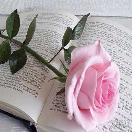 آهنگ ﻣﻴﺒﺮدم دﻟﻴﻞ ﺑﺮدم ﺗﻮ ﺑﻮدی ﺷﺒﻰ ﻛﻪ ﻏﺼﻪ ﻣﻴﺨﻮردم ﺗﻮ ﺑﻮدی