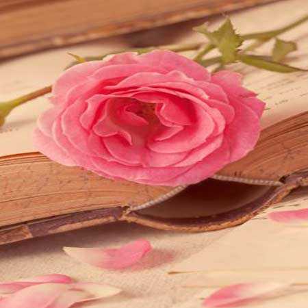 آهنگ دنیا نسخه هوش مصنوعی با صدای فرووال آهنگ دنیا نسخه هوش مصنوعی با صدای فرووال