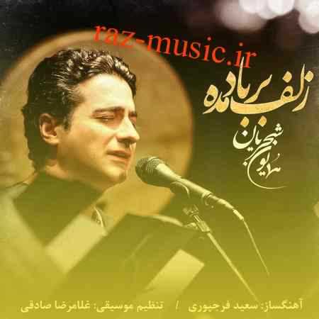 آهنگ زلف بر باد مده همایون شجریان آهنگ زلف بر باد مده همایون شجریان